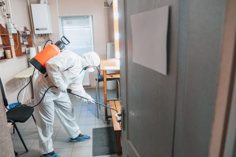 Control de plagas hostelería en Alicante