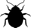 Empresa de control de plagas en Alicante